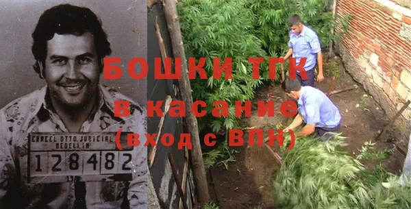 ГАЛЛЮЦИНОГЕННЫЕ ГРИБЫ Приозерск